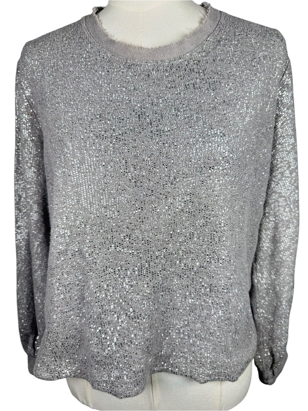 Anthropologie Dolan Left Coast Shine Sweatshirt Metallic Sparkle Silver M